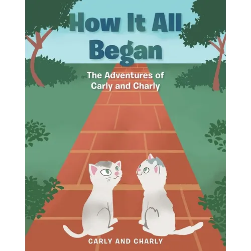 How It All Began