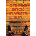 Orange Brick in Warm Sun