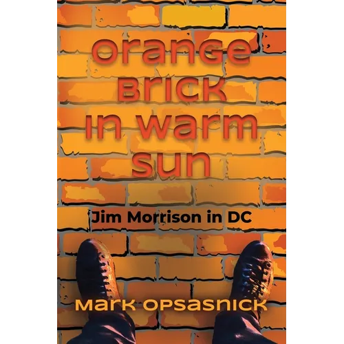 Orange Brick in Warm Sun