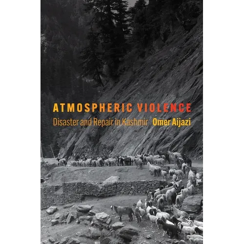Atmospheric Violence: Disaster and Repair in Kashmir