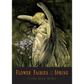 Flower Fairies of the Spring: 24 Full Color Illustrations