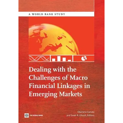 Dealing with the Challenges of Macro Financial Linkages in Emerging Markets