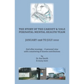 The Story of the Cardiff and Vale Perinatal Mental Health Team January 1998 - July 2020: And Other Musings - a personal view with a smattering of dive