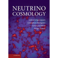 Neutrino Cosmology