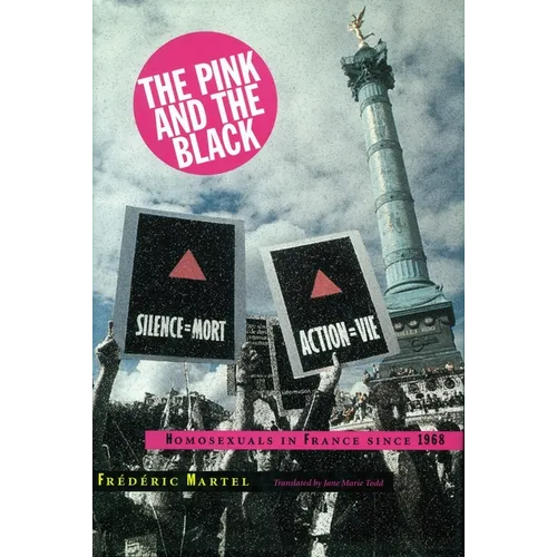 Pink and the Black: Homosexuals in France Since 1968