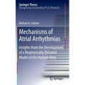 Mechanisms of Atrial Arrhythmias: Insights from the Development of a Biophysically Detailed Model of the Human Atria