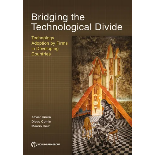 Bridging the Technological Divide: Technology Adoption by Firms in Developing Countries