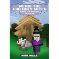 Wendi the Friendly Witch Diaries Book 1: A Friend or a Foe?