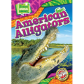 American Alligators
