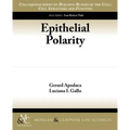 Epithelial Polarity