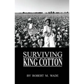 Surviving King Cotton: "Cotton Pickin Po"