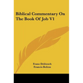 Biblical Commentary On The Book Of Job V1