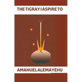 The Tigray I Aspire to