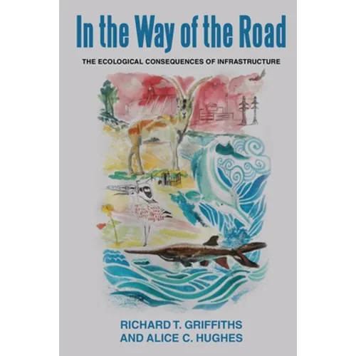 In the way of the Road: The Ecological Consequences of Infrastructure
