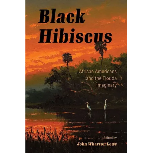 Black Hibiscus: African Americans and the Florida Imaginary (Hardback)