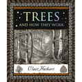 Trees and How They Work