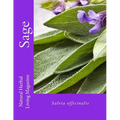 Sage - Salvia spp.