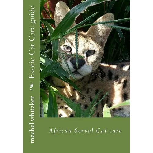Exotic Cat Care guide: African Serval Cat care