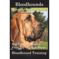 Bloodhounds, Bloodhound Training Book For both Bloodhound Dogs & Bloodhound Puppies By D!G THIS DOG Training: Dog Training Begins From the Car Ride Ho
