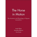 Horse Motion