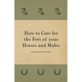 How to Care for the Feet of your Horses and Mules