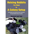 Raising Rabbits For Meat In A Colony Setup: Sustainable And Efficient Meat Production Through Rabbit Colony Farming