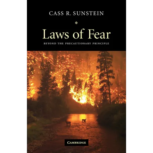 Laws of Fear: Beyond the Precautionary Principle