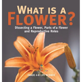 What is a Flower? Dissecting a Flower, Parts of a Flower and Reproductive Roles Grade 6-8 Life Science