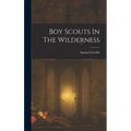 Boy Scouts In The Wilderness