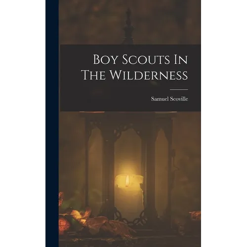 Boy Scouts In The Wilderness