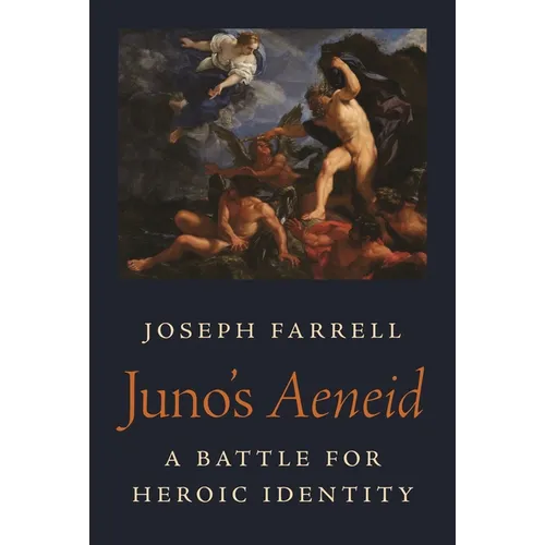 Juno's Aeneid: A Battle for Heroic Identity