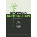 Reversing Deforestation: How Market Forces and Local Ownership Are Saving Forests in Latin America