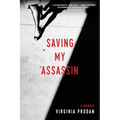 Saving My Assassin