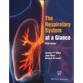 The Respiratory System at a Glance