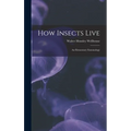 How Insects Live; an Elementary Entomology