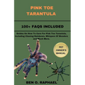 Pink Toe Tarantula: Guides On How To Care For Pink Toe Tarantula, Including Chasing Rainbows, Whispers Of Wonders and Much More.