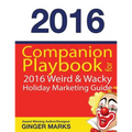 Companion Playbook 2016