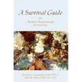 A Survival Guide for Activity Professionals