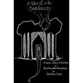 A Ghost in the Darkness