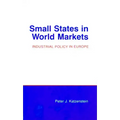Small States in World Markets: Political Violence in Bali
