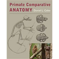 Primate Comparative Anatomy