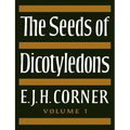 The Seeds of Dicotyledons
