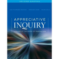 Appreciative Inquiry: Change at the Speed of Imagination