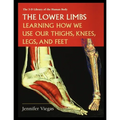 The Lower Limbs: Learning How We Use Our Thighs, Knees, Legs, and Feet