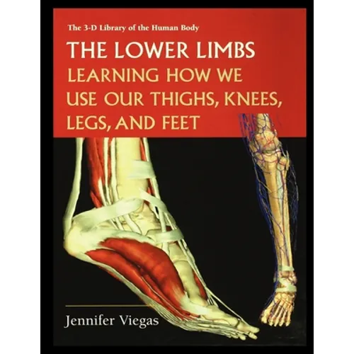 The Lower Limbs: Learning How We Use Our Thighs, Knees, Legs, and Feet