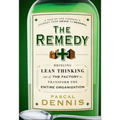 The Remedy