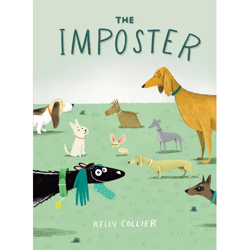 The Imposter