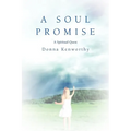 A Soul Promise: A Spiritual Quest