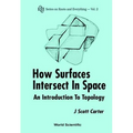 How Surfaces Intersect In...(2nd Ed)(V2)
