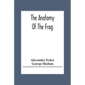 The Anatomy Of The Frog